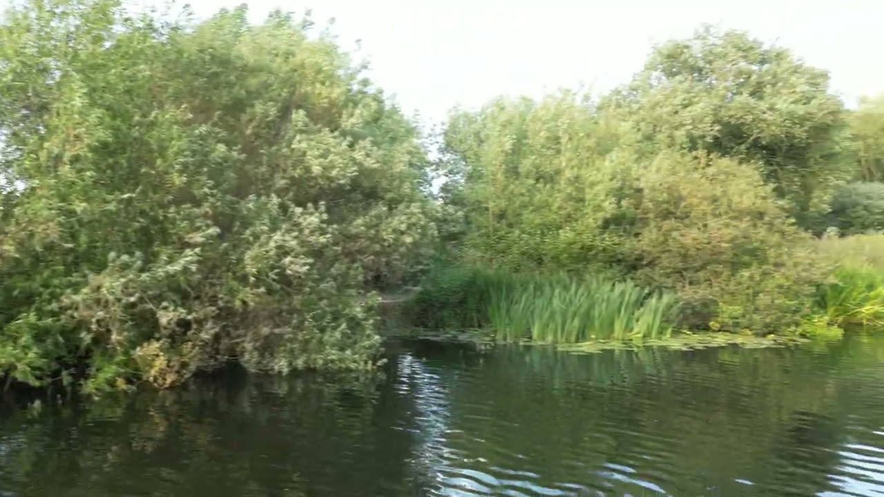 River Avon x