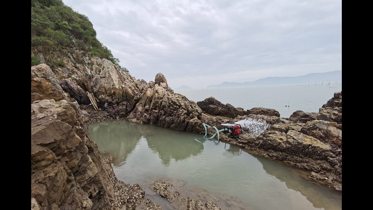 岛上废弃的老鱼塘没人打理，发现底下海螺猫鲨都超大，要成精了