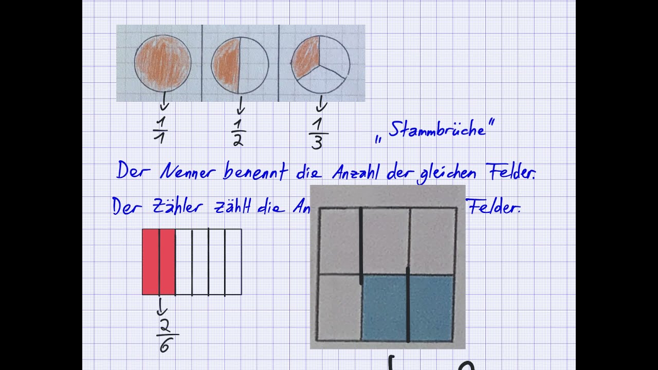 Mathematik 6 - Brüche und Anteile.mp4