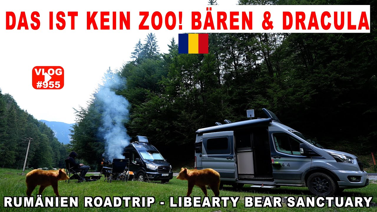 #955 Bärenreservat Zărnești Liberty | Bären Zuflucht Rumänien | Kein Zoo | Überzeugt Schloss Bran?