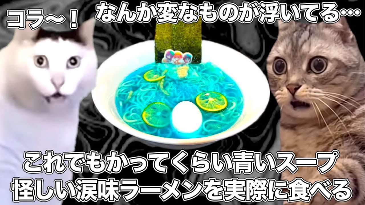 涙味のラブライブのふざけたラーメンを、実際に食べて辛口レビューする【猫ミーム】 #猫マニ #猫ミーム