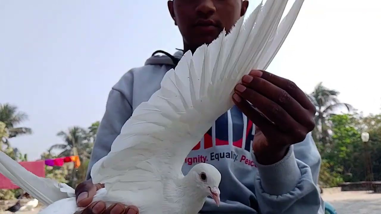 আমার নতুন ভিডিও এটা 
