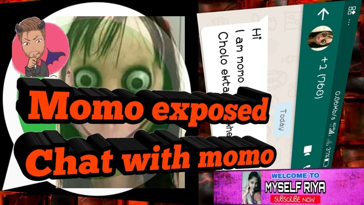 Momo Roasting || Funny Chat with Momo || Momo exposed || Bangla New Funny Video 2018 ||