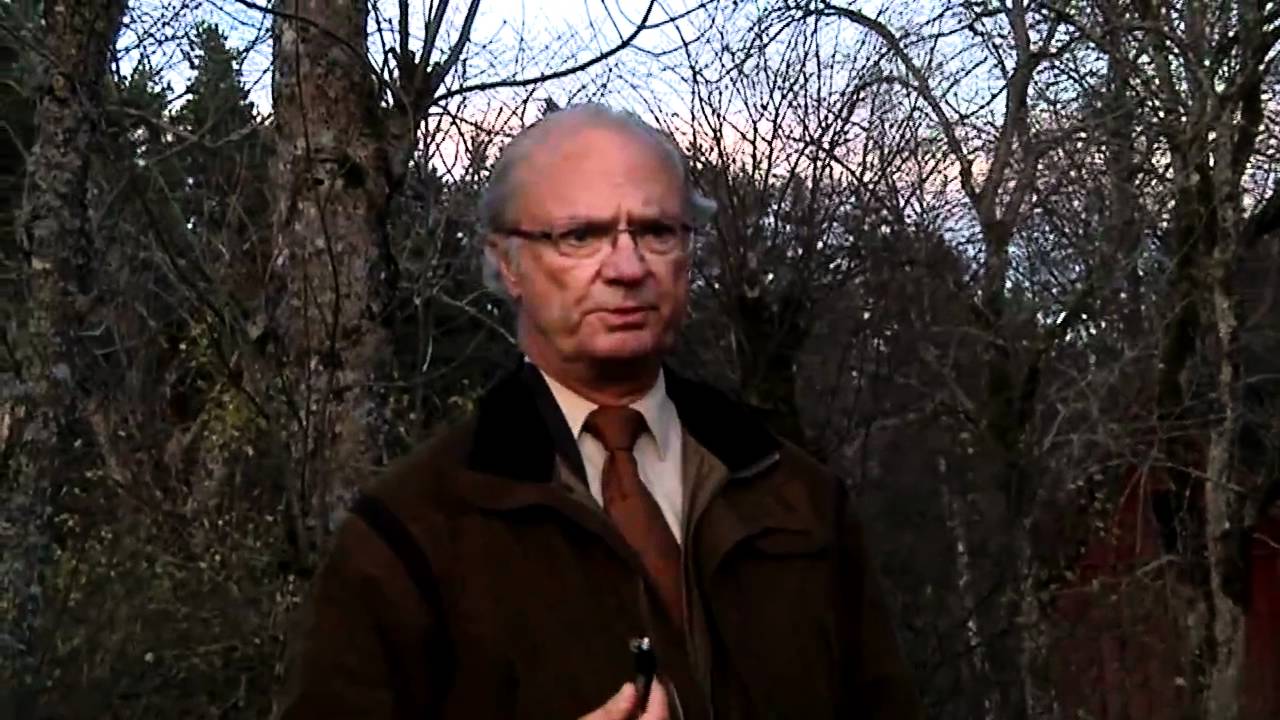 Kungen vägrade svara på frågor