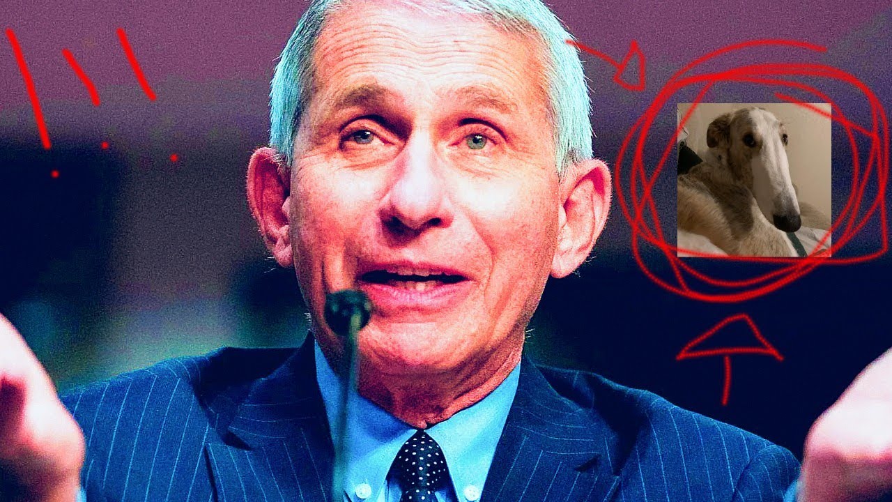 dr fauci trap remix.wav