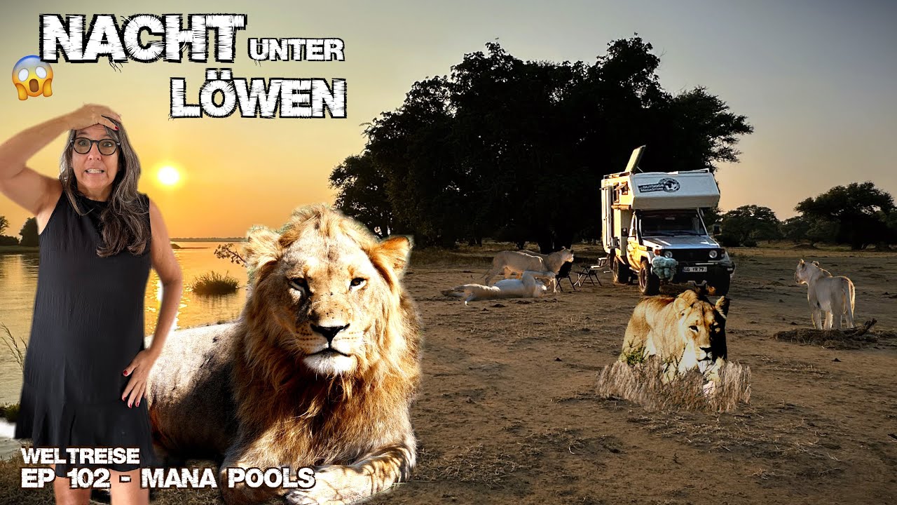 UMZINGELT VON L&Ouml;WEN! Wir haben ANGST - Mana Pools bei Nacht! Transafrika | Simbabwe EP102