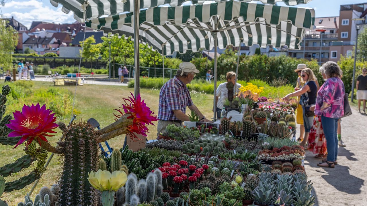 Gartentage im Fischhofpark Tirschenreuth: Gärtner, Handwerker und Künstler beweisen ihr Können