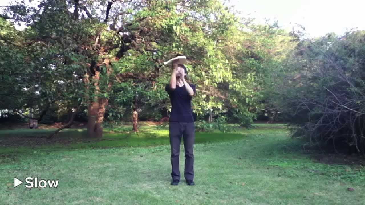 ピザ回しの基本技まとめ / Pizza Freestyle 3 Basic Moves
