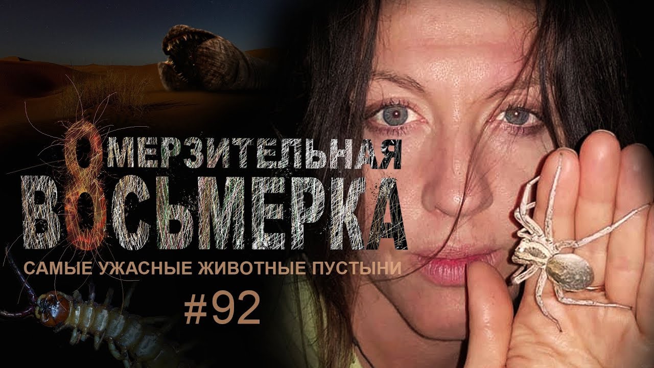 Омерзительная восьмерка: самые ужасные животные пустыни // Всё как у зверей #92