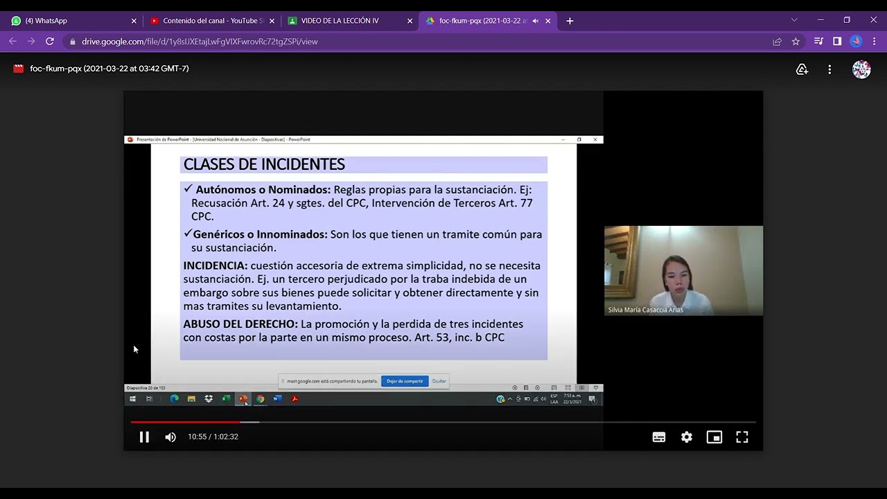 LECCION 4  -  INCIDENTES  -  PROCESAL CIVIL II