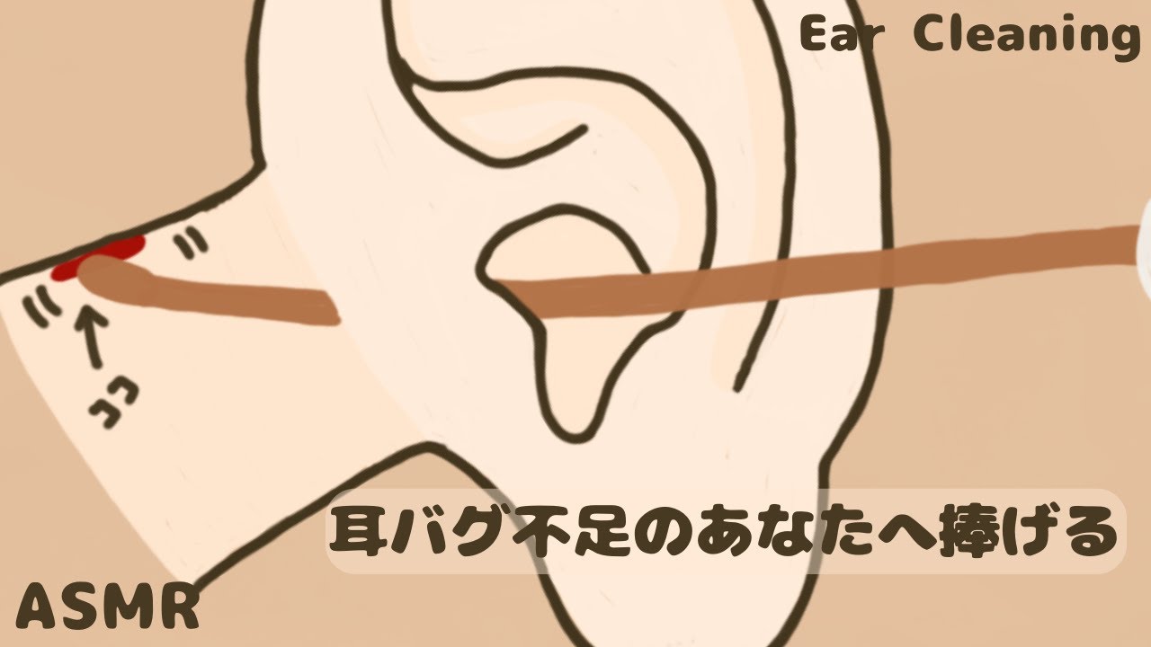 【ASMR】耳バグ不足のあなたへ捧げる【No Talking】