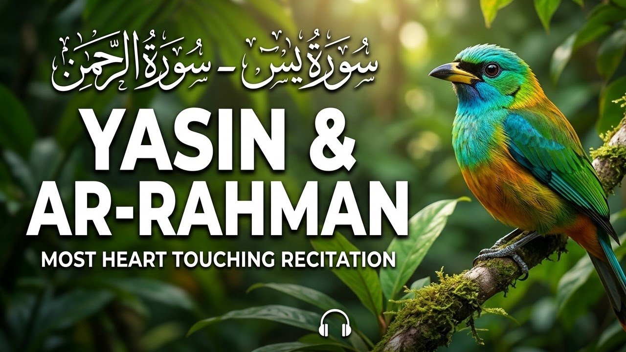 Surah Yaseen | Surah Ar-Rahman | Surah Yasin Tilawat | Best Qur'an Recitation | Surah Rahman Tilawat