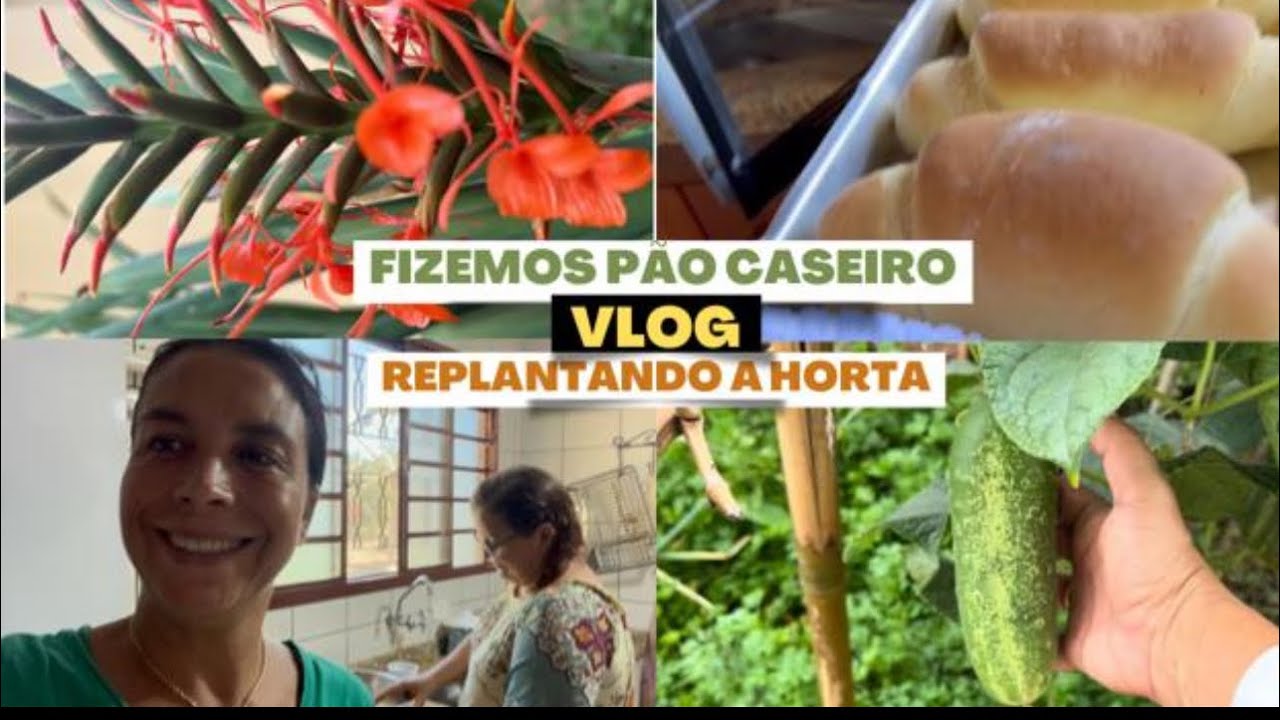 Passe um dia comigo!!Fizemos pão  caseiro e nossas galinhas vão aumentar!!!