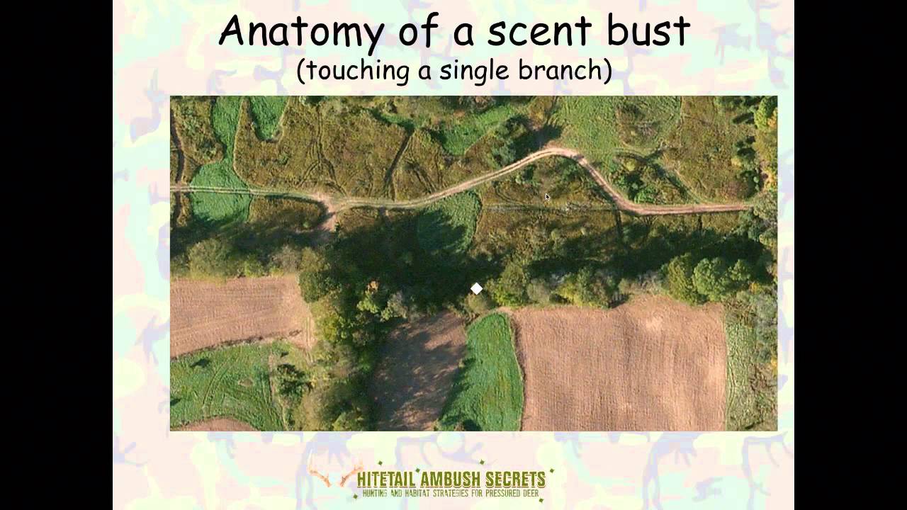 Scent Control - What Most Hunters Don't Realize
