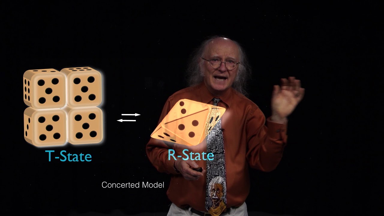 10 Sequential vs Concerted Models