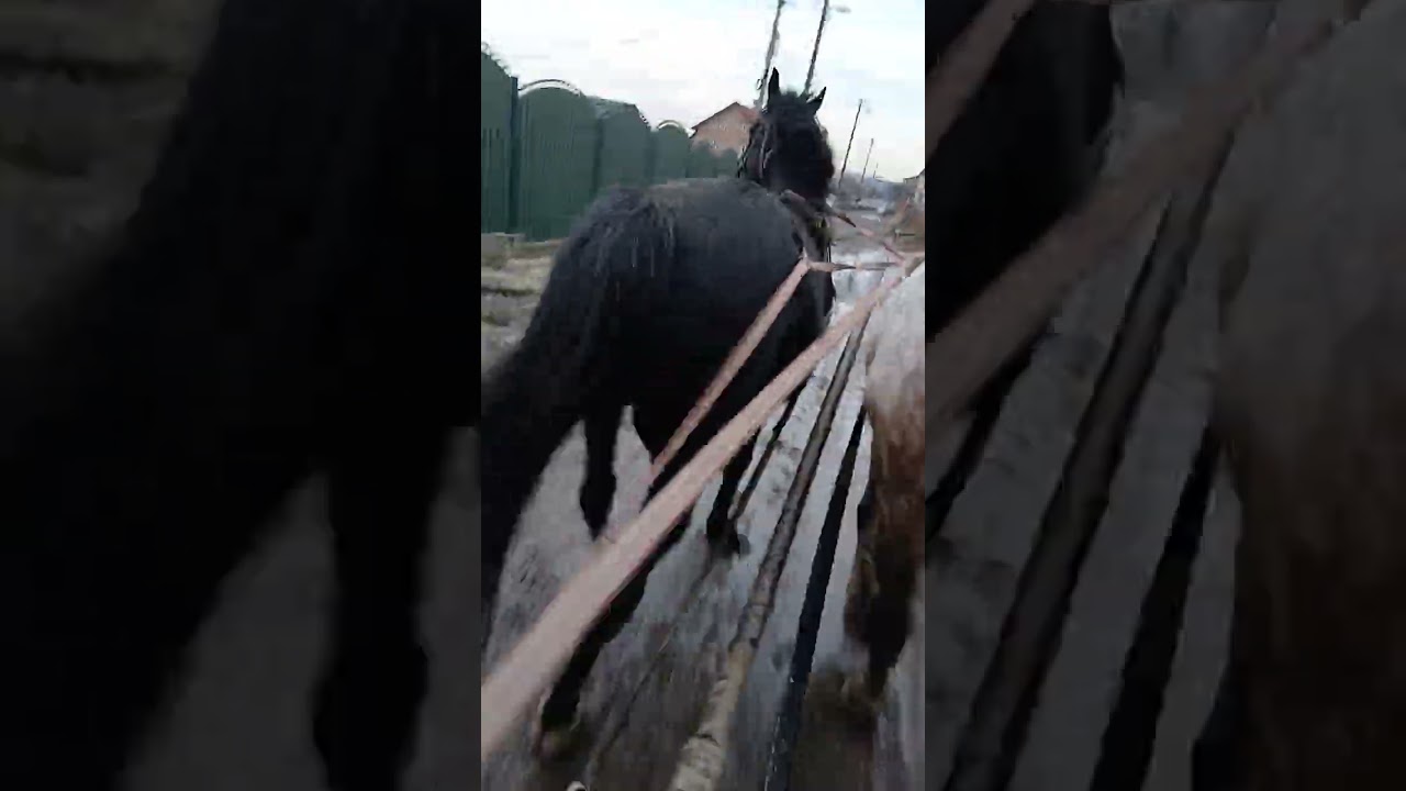 Зідану заміну зробили Мохіта на Ахіла