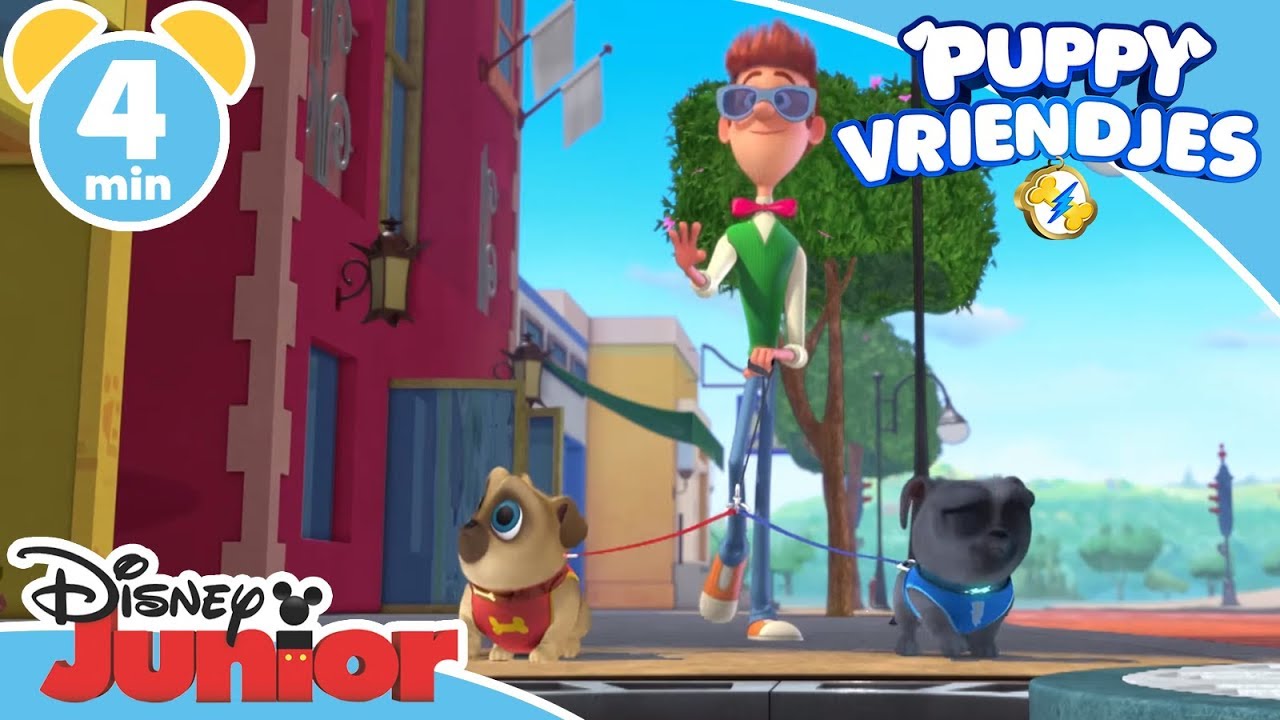 Puppy Vriendjes | Wandelen met Bob | Disney Junior BE