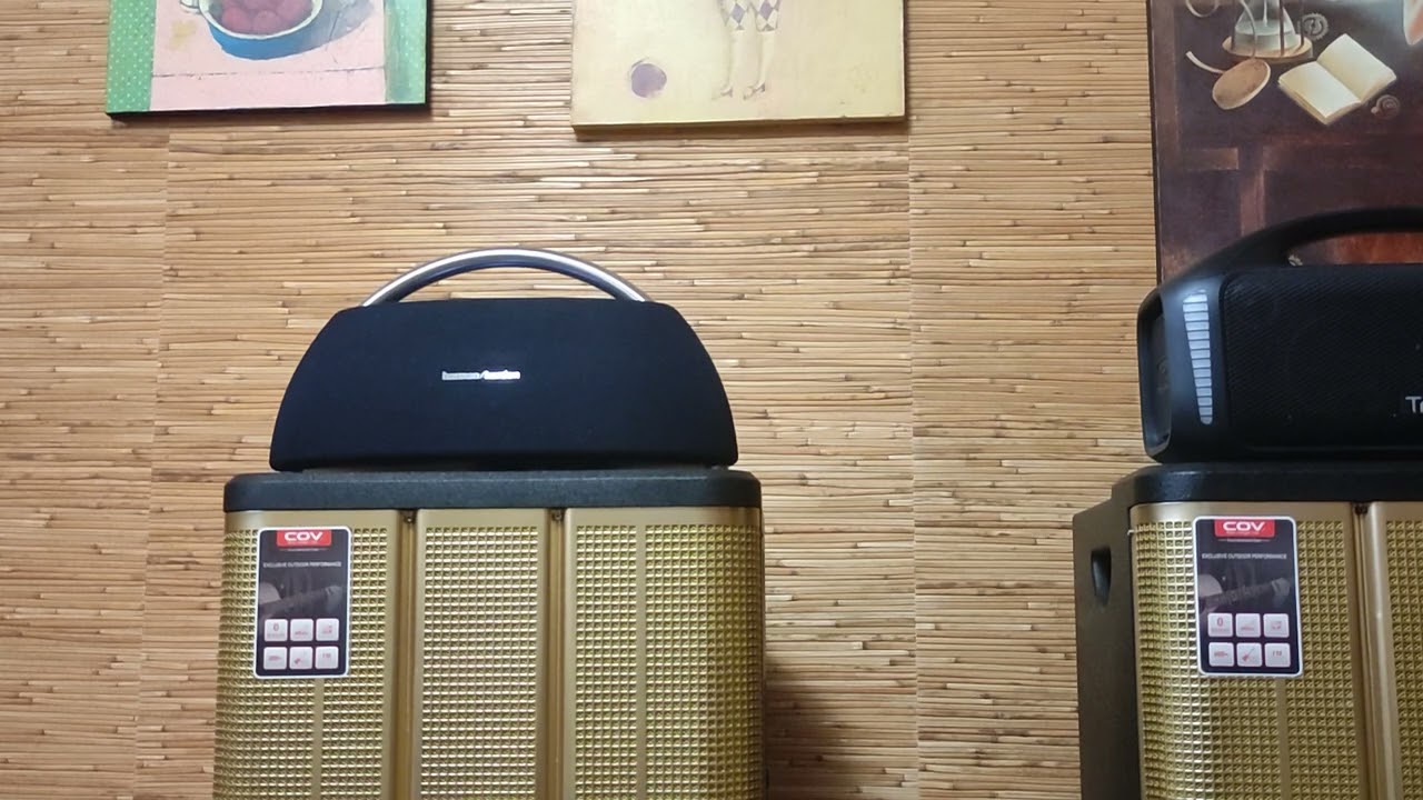 Harman Kardon Go+Play 100W  &  Tribit Stormbox Blast 90W