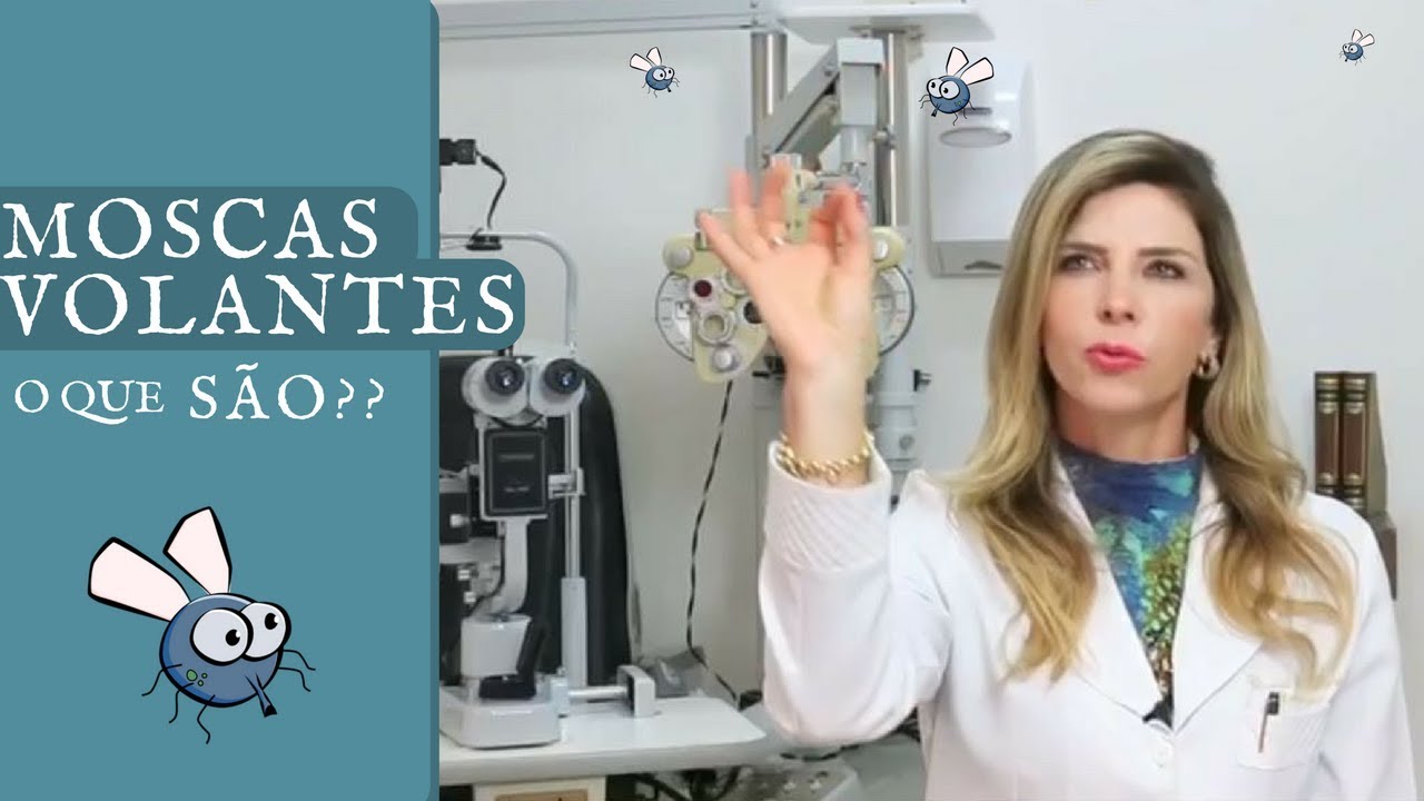 Moscas Volantes - O Que S&atilde;o Moscas Volantes