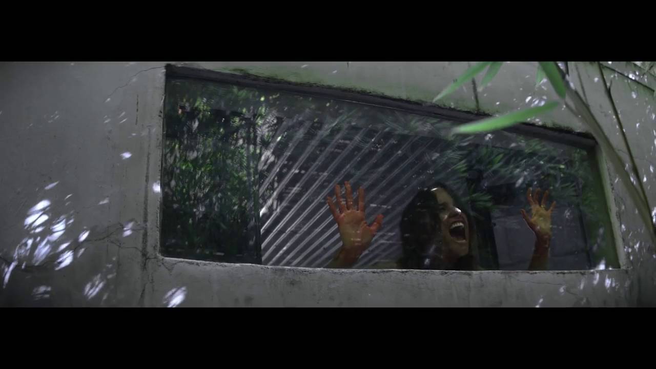 Shortwave - Official 15 Second Movie Trailer HD - Trailer Puppy