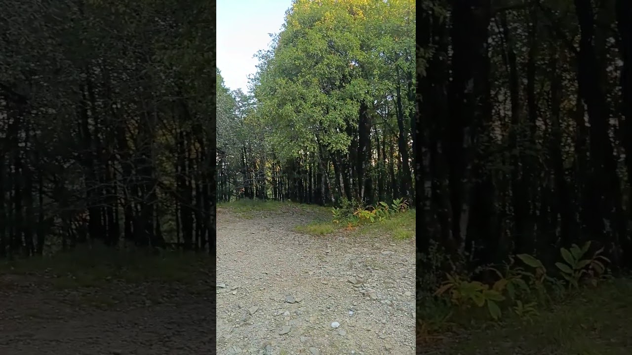 binser ka zero point