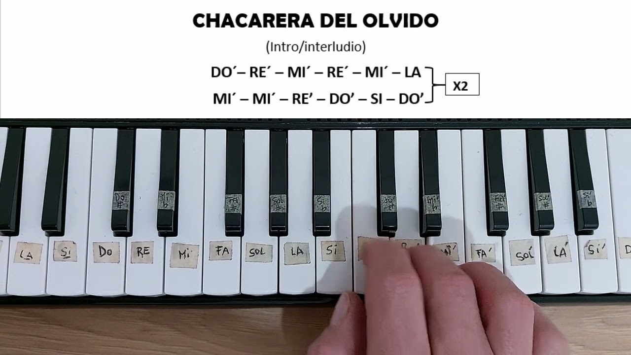 CHACARERA DEL OLVIDO (2&deg; voz Intro - Arreglo) #chacareradelolvido #chaque&ntilde;opalavecino #melodica