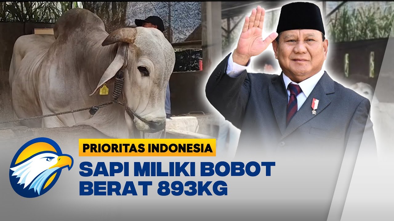 Presiden Prabowo Pilih Sapi Lokal Kediri untuk Kurban IdulAdha 2025 - [Prioritas Indonesia]