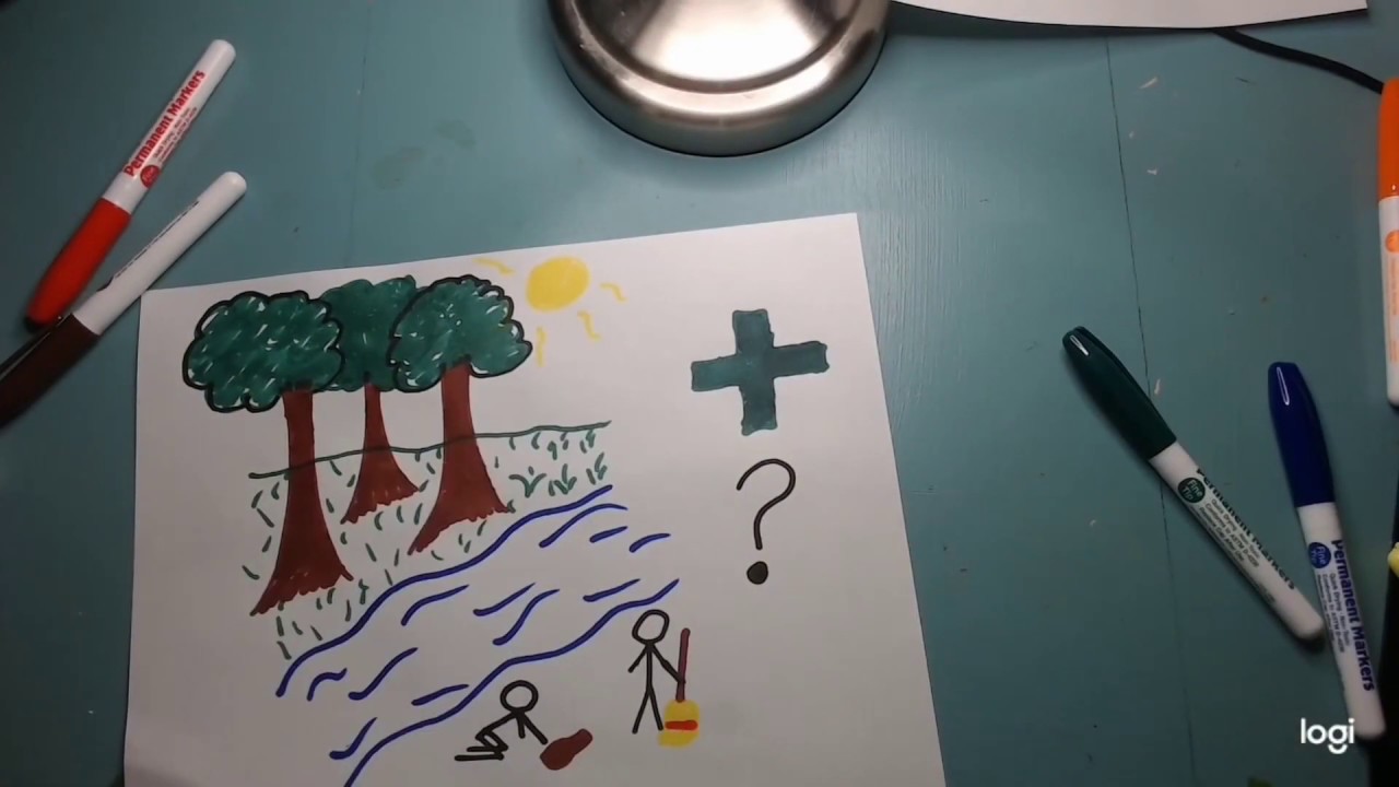 Conservation 101 - What Makes A Stream Healthy?
