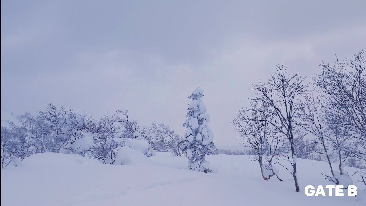 【GATE B】富良野野雪路線指引【ゲートB】富良野スキー場路線ガイド| Geana趴趴造！