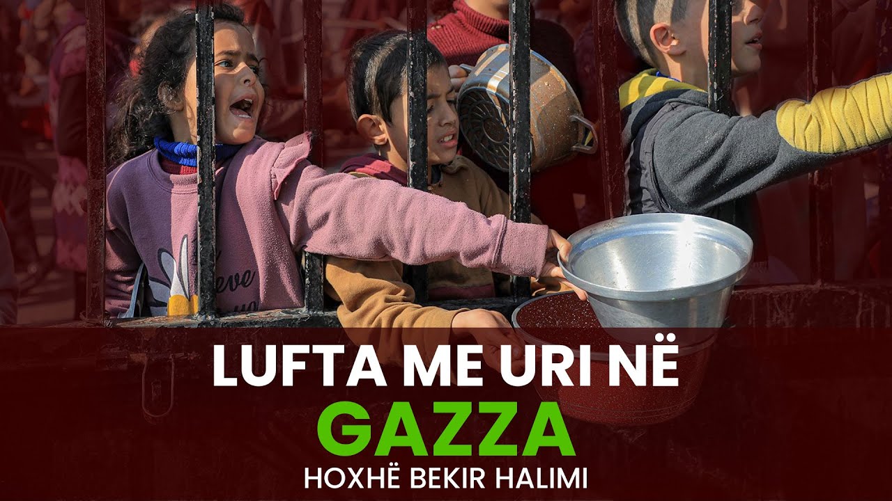 Lufta me uri në Gazza - Hoxhë Bekir Halimi