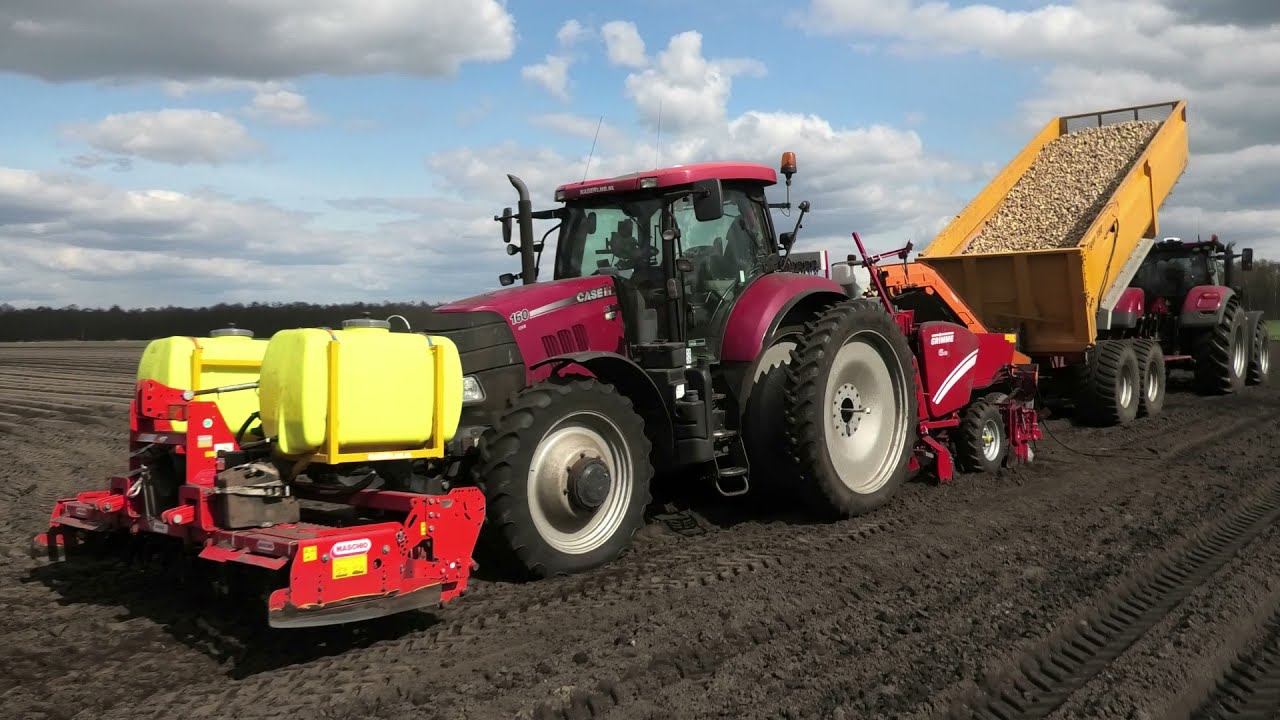 AARDAPPELEN POTEN 2021 CASE PUMA 160 CVX GRIMME GL 420