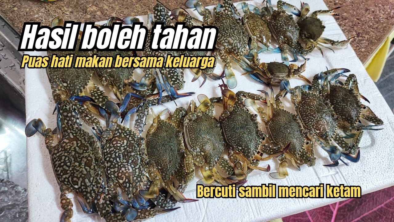Membubu dan menjaring ketam di Lexis Water Chalet Port Dickson