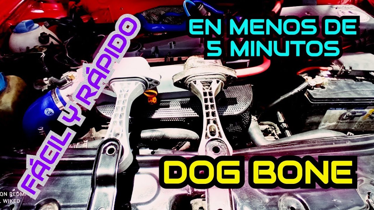 CAMBIO DE SOPORTE TRASERO • HUESO • DOG BONE • SEAT • VW • AUDI • 1.8T 2.0 • LEON 1M • WIKED GARAGE