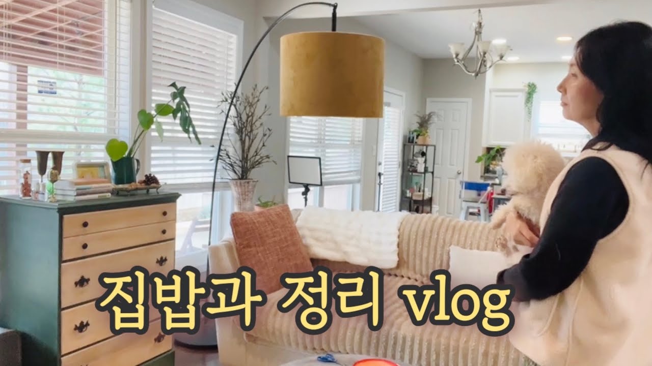 말많음주의🫢집밥과 정리 평범함이 고마운 하루하루 /코다리 조림 Atlanta Vlog 말많음주의