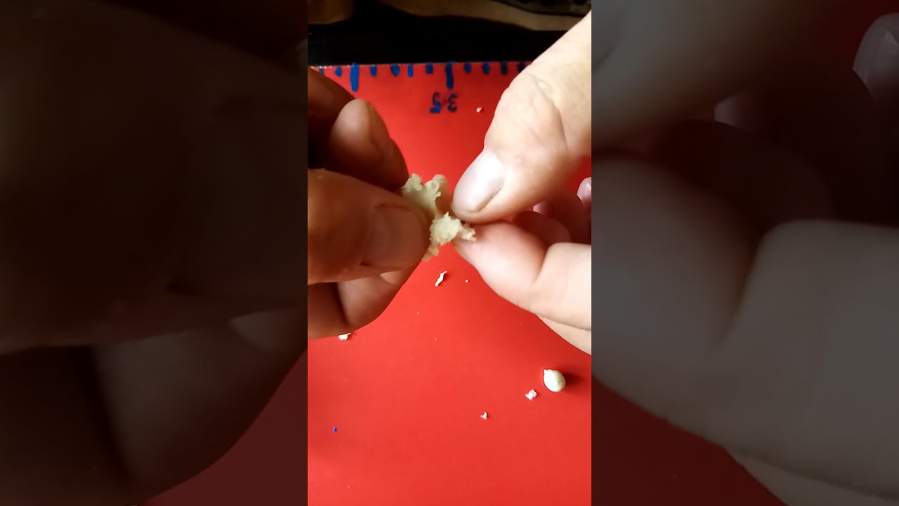Balıq ovunda. Çörəyin qırmağa taxilma üsulu.