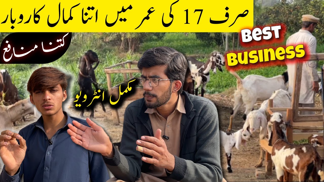 Goat Farming Business in 2026 | How to start Goat Farming | Bakriyon ka karobar