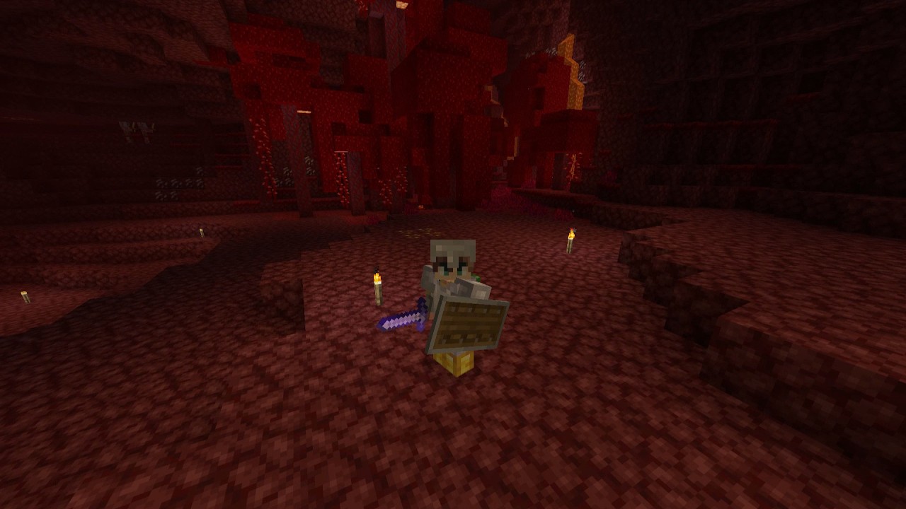 Tensión en el Nether! - Minecraft Survival - EP9