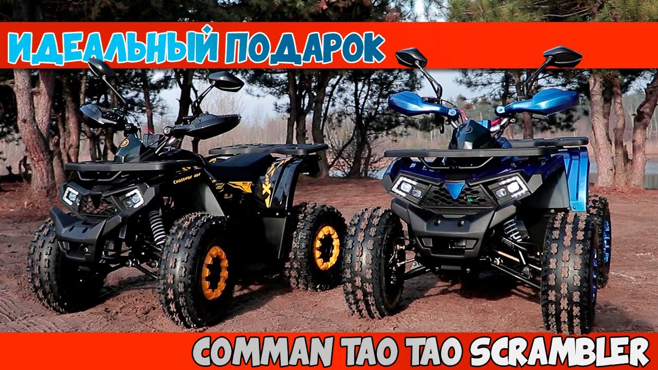 Квадроциклы COMMAN TAO TAO SCRAMBLER 125CC и 150СС или что подарить ребенку?