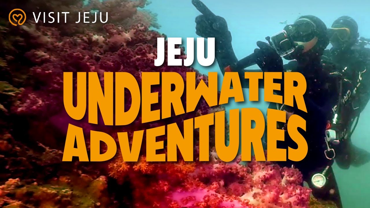 Jeju Scuba Adventures : Discover What Lies Underneath!