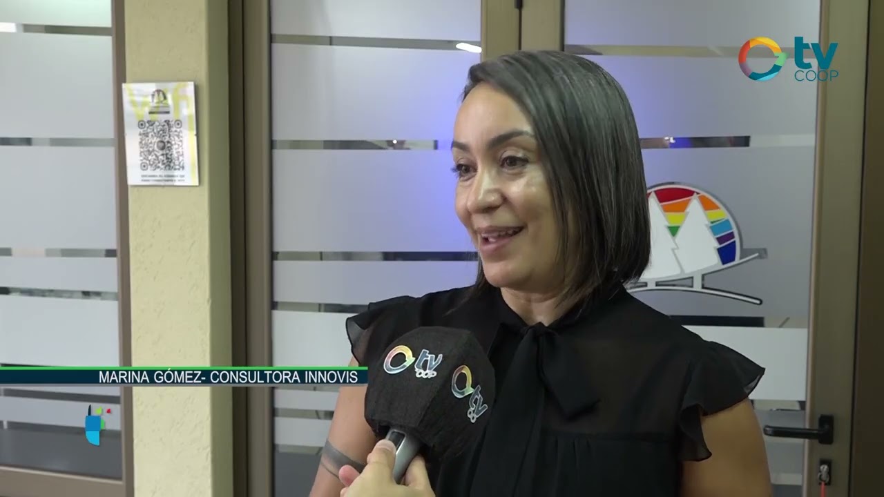 Marina Gomez - Consultora Innovis - Plan Estrategico