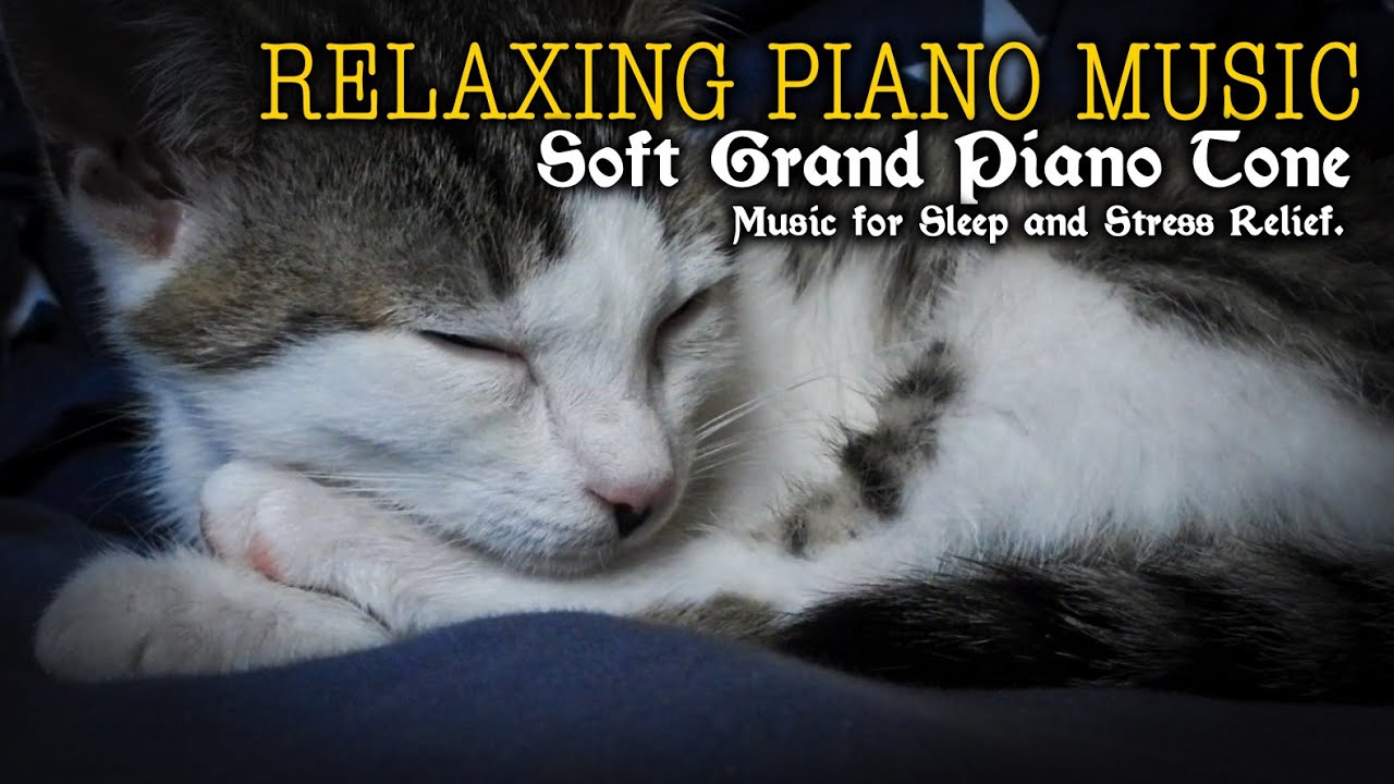 Relaxing Piano Music, Soft Grand Piano Tone, Music for Sleep and Stress Relief.