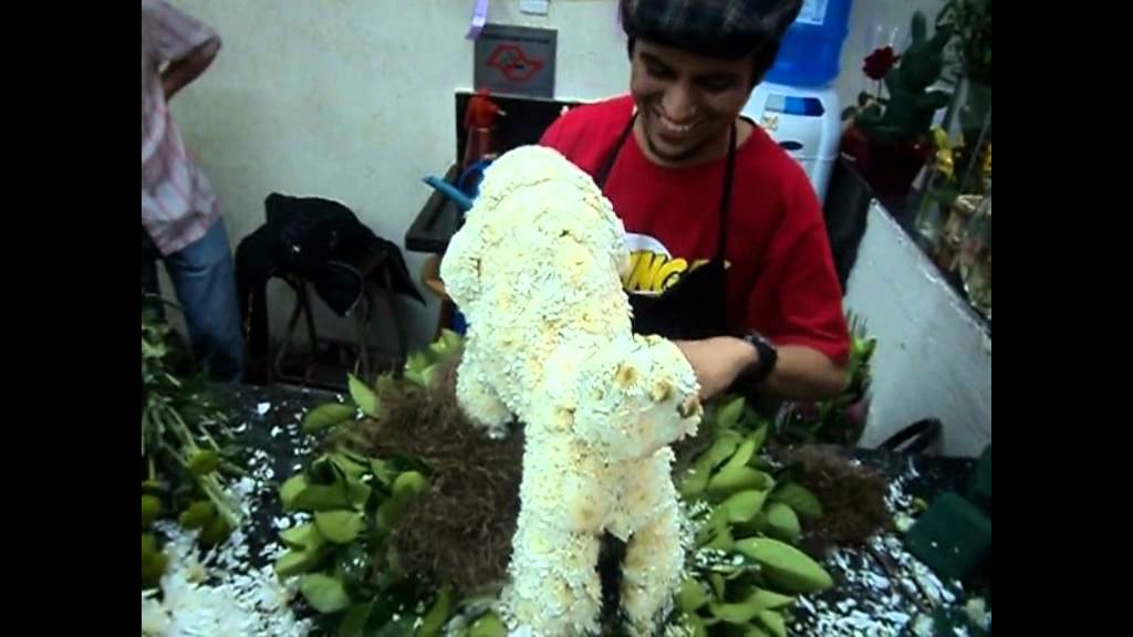 Vlog 16 # Arranjos de flores em formato de animais