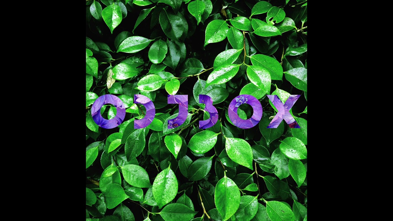 Odjbox - Mister Joe's Café (2010)