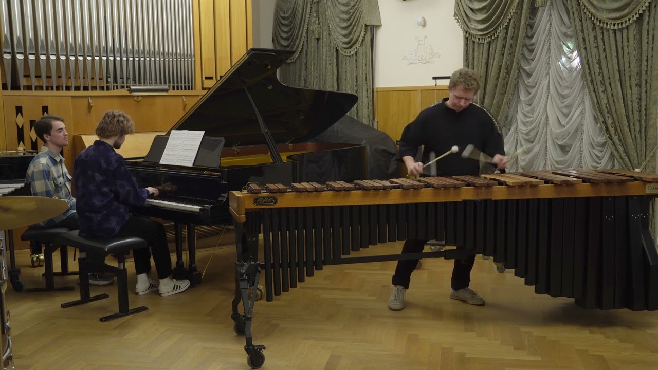 Лукас Сухарев &ndash; &laquo;Monkey Etudes&raquo; для маримбиста и пианиста. I. Popa langur