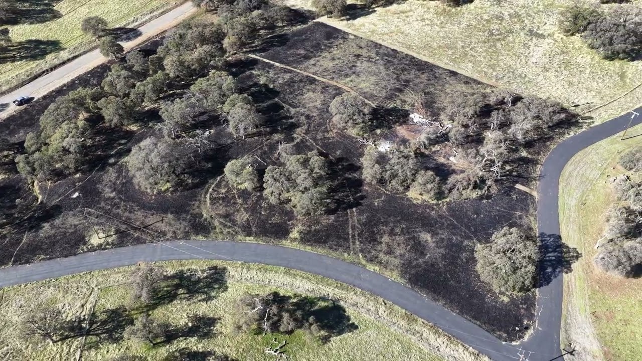 Prescribed burn