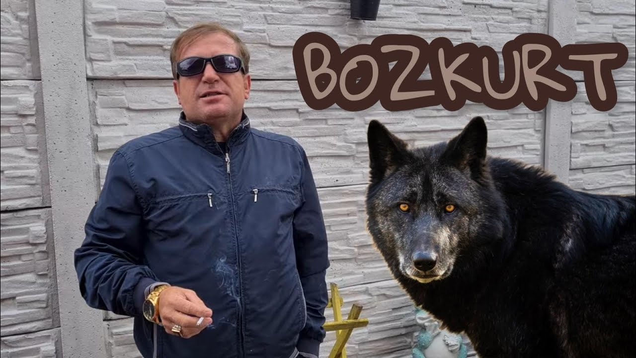 Oyun Kuşu BELÇİKA! KAYSERİ'Lİ AHMET!!