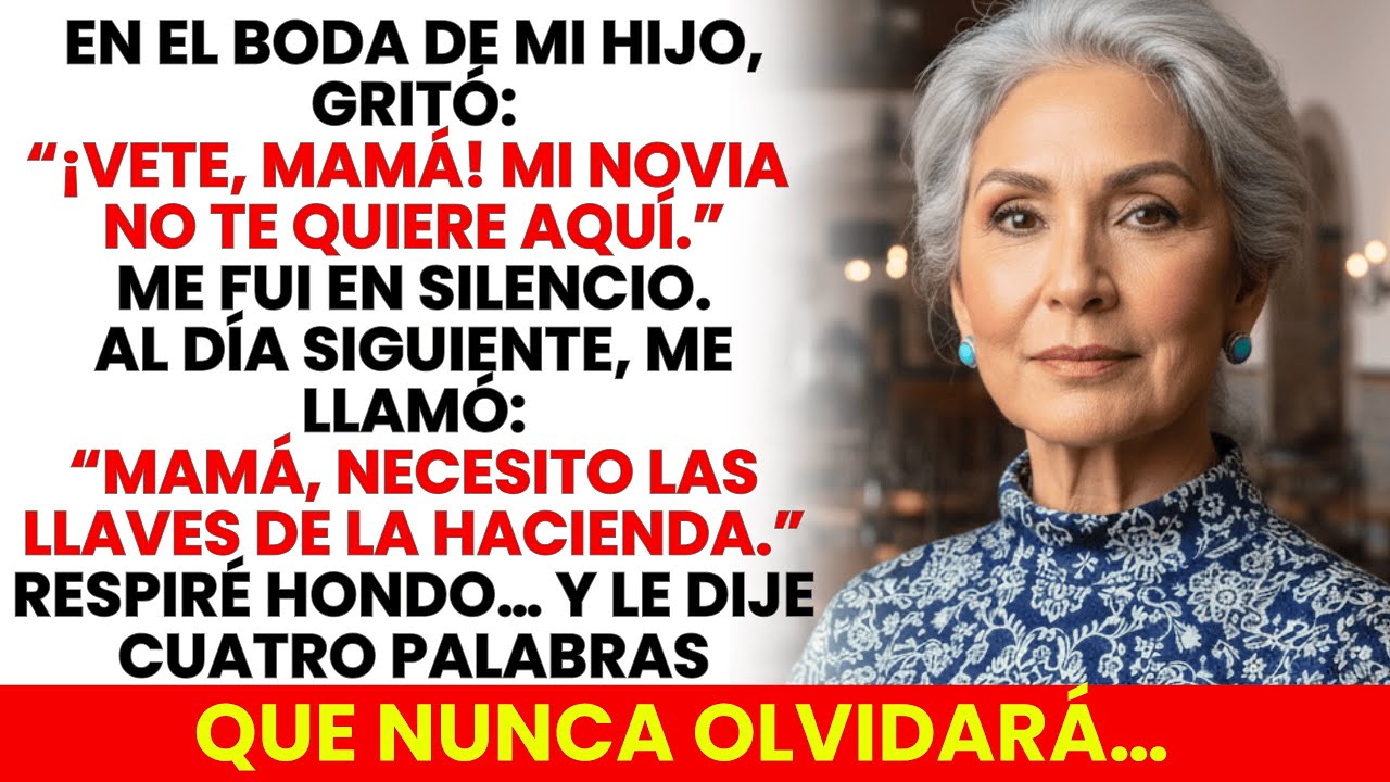 Mi Hijo Me Echó Del Matrimonio Por Culpa De Su Esposa. Pero Lo Que Dije Después... Nadie Lo Olvidará
