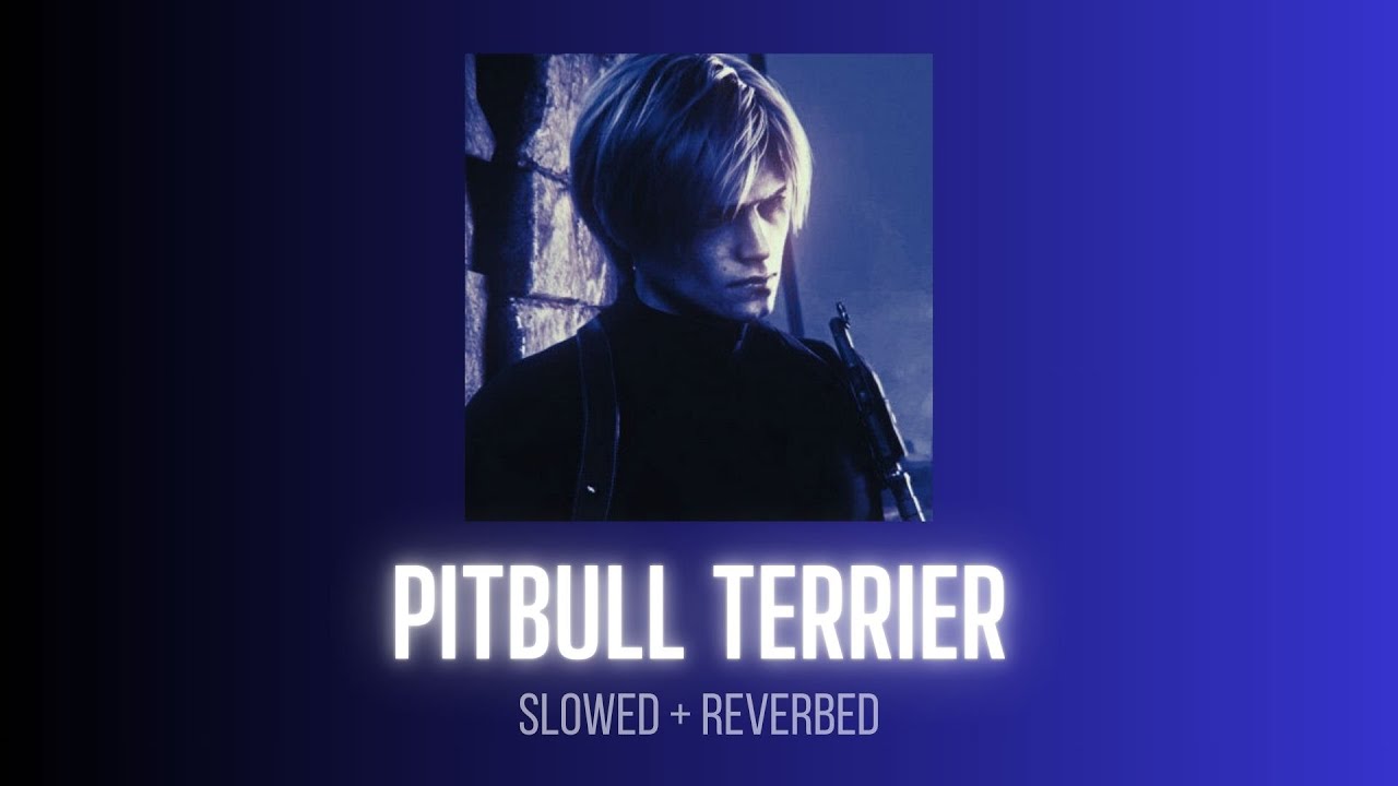 Pitbull Terrier - Die Artoord || Slowed + Reverbed