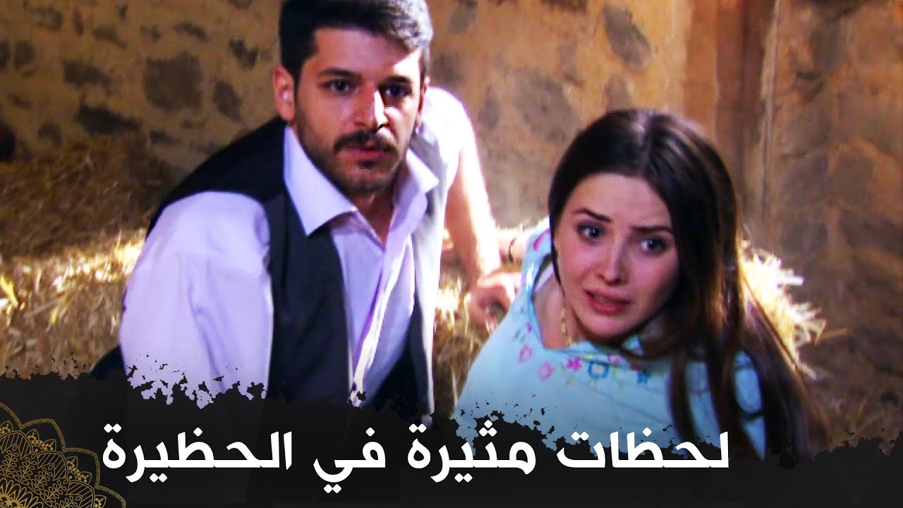 تم القبض عليها مع رجلين في الحظيرة، إلى من منهما سيزوجها؟  (لن أتواضع )