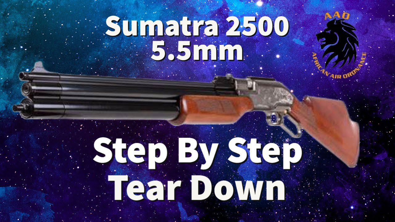 Суматра 2500 Разборка